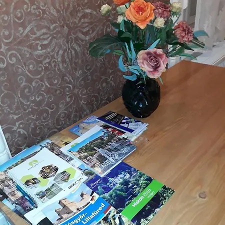 Central Apartman * Miskolc